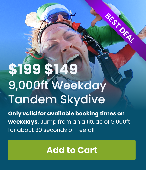 SkyDance Holiday Gift Card Option 01